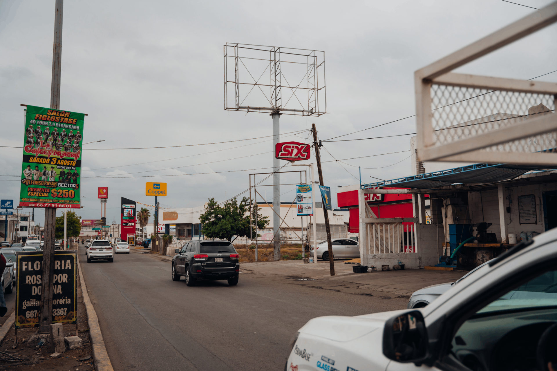 Mupis y parabuses — BESTCOLOR